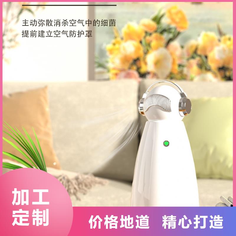 【深圳】艾森智控迷你空气净化器多少钱小白空气守护机