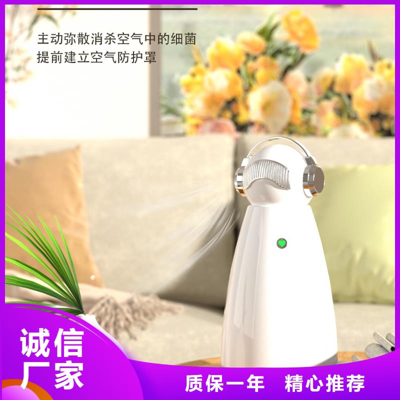 [艾森]【深圳】家用室内空气净化器生产厂家小白空气守护机