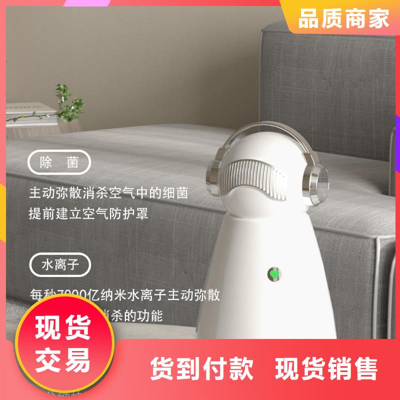 【深圳】室内健康呼吸效果最好的产品小白空气守护机