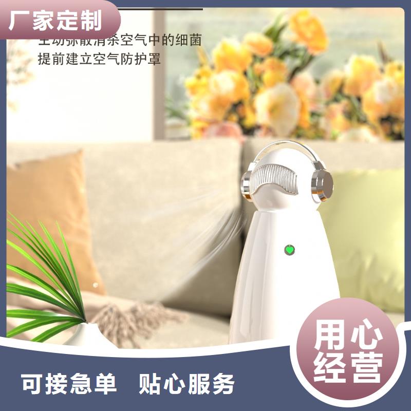 【深圳】解决异味的小能手家用小白空气守护机