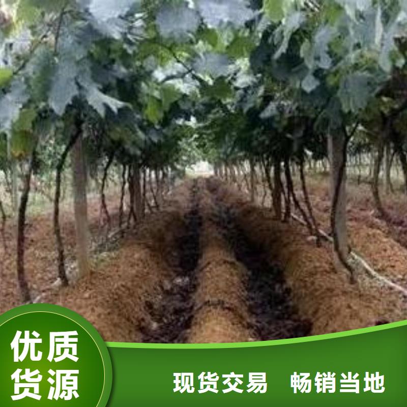 <香满路>汕头铜盂镇有机肥改良土壤
