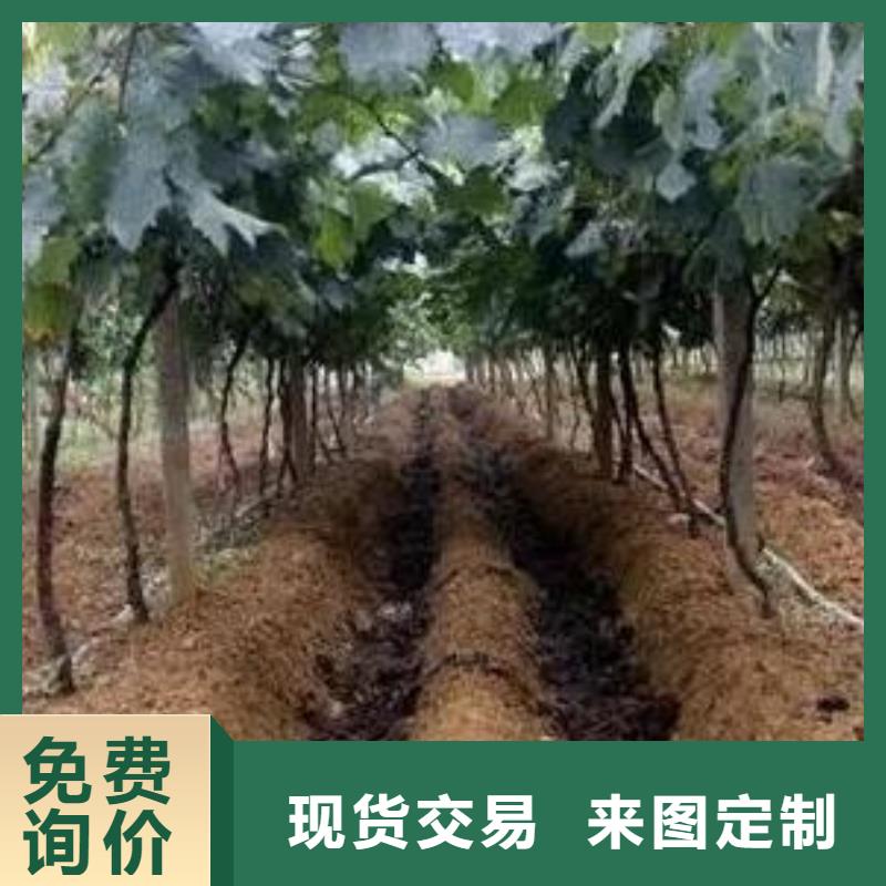 深圳市龙岗街道鸡粪有机肥改良土壤