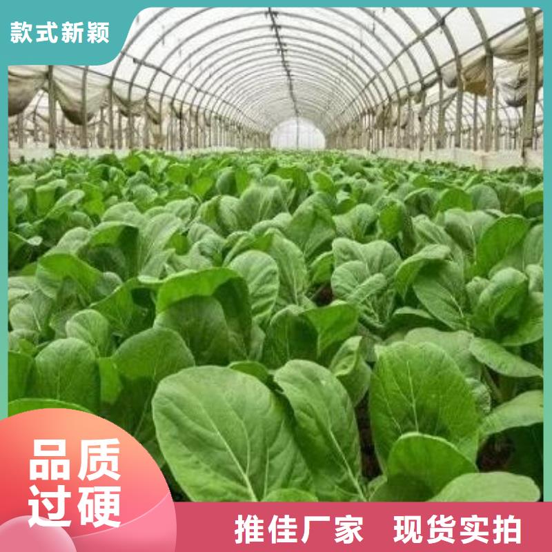 广东阳江阳春发酵有机肥地址在哪