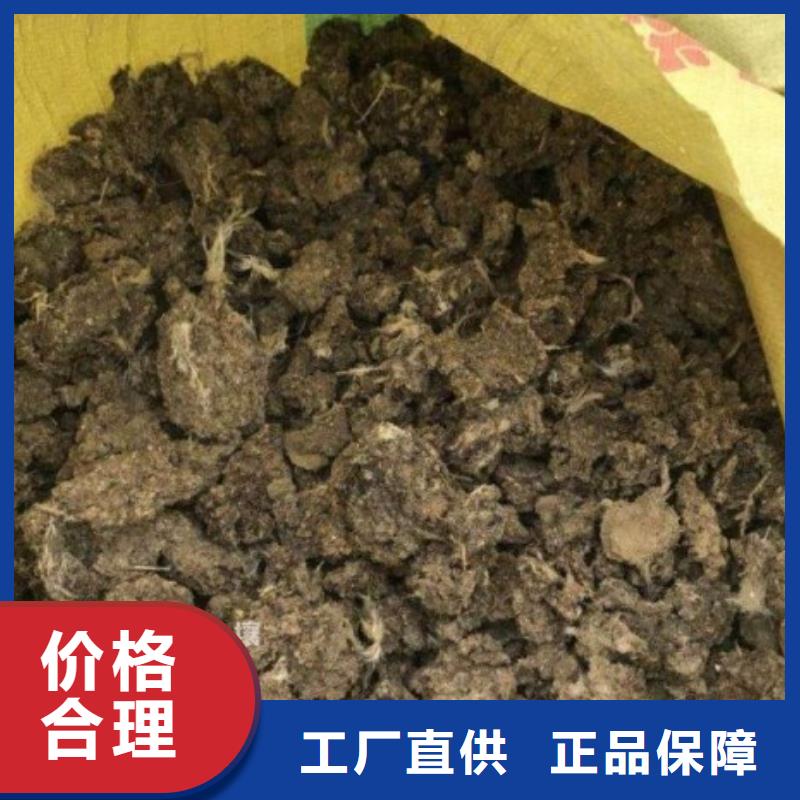 鸡粪销售干鸡粪品质不将就