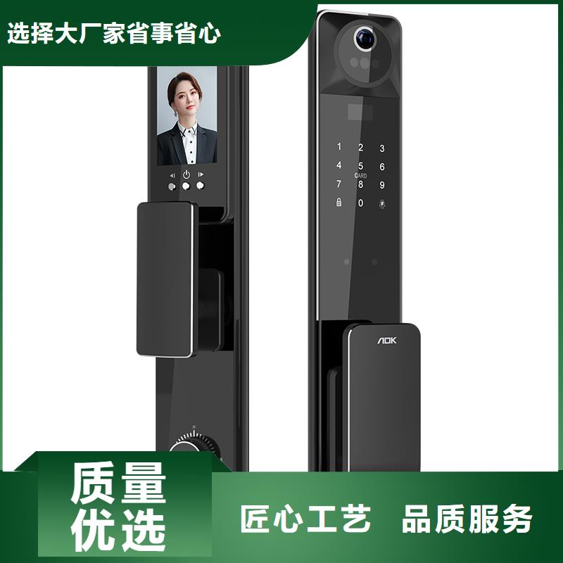 人脸识别智能锁十大品牌