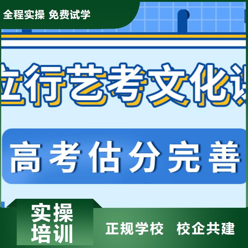 品牌艺考生文化课集训理论+实操