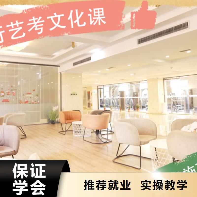 艺考文化课集训高考小班教学理论+实操