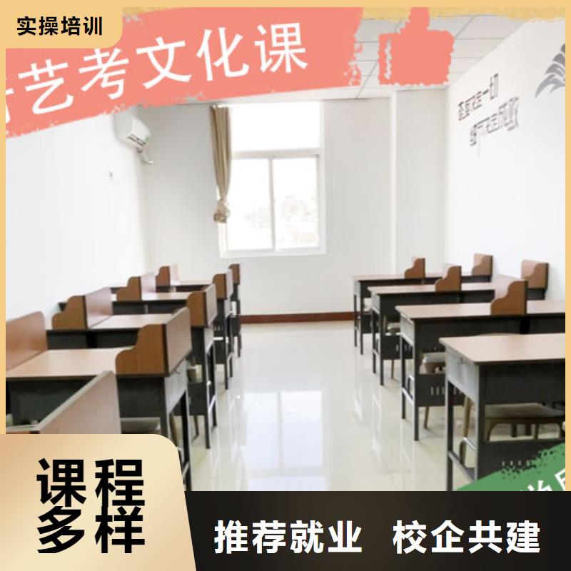 艺体生文化课一年学费多少