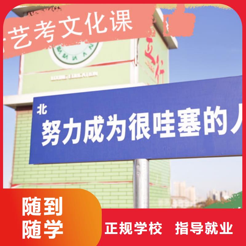 艺考文化课培训高考志愿填报指导学真技术