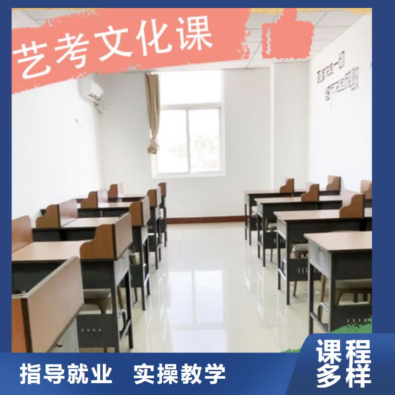 便宜的选哪家艺术生文化课补习学校