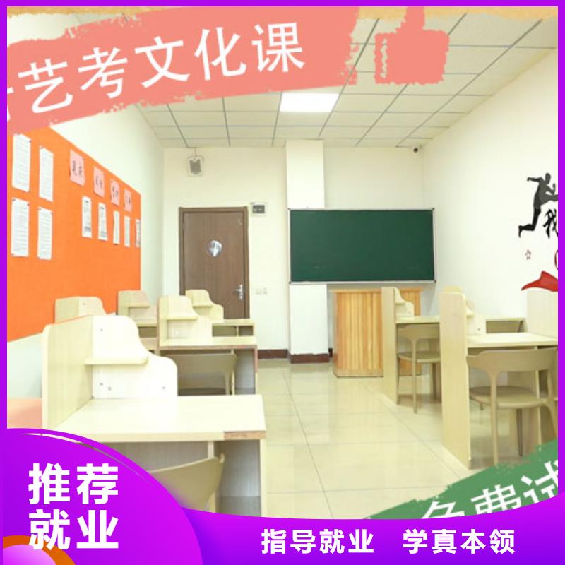 艺考文化课艺术生文化补习指导就业