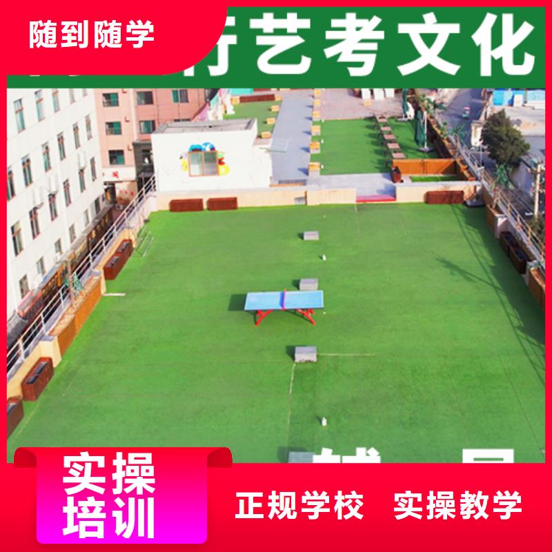 艺考生文化课冲刺艺考培训机构课程多样