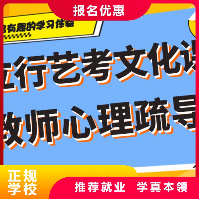 艺考生文化课冲刺高考复读清北班免费试学