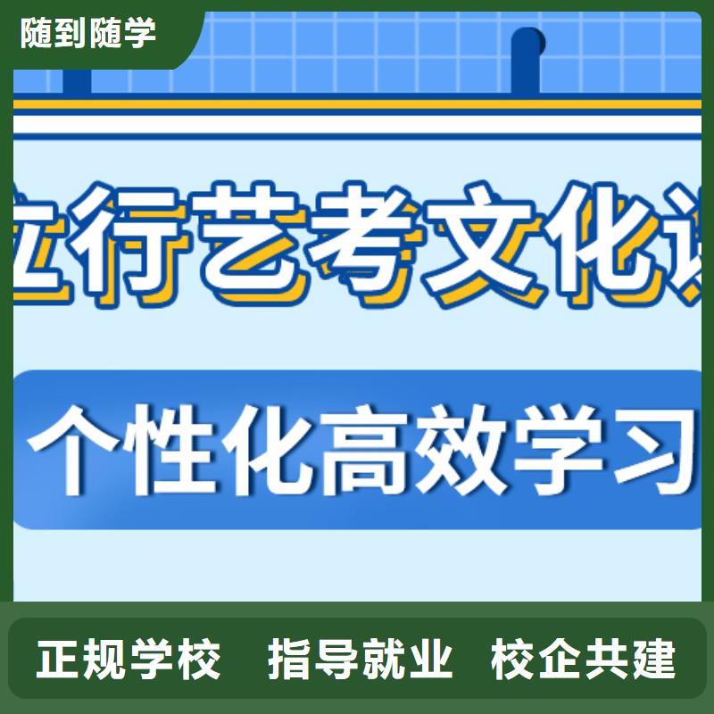 艺考生文化课冲刺艺考培训机构课程多样