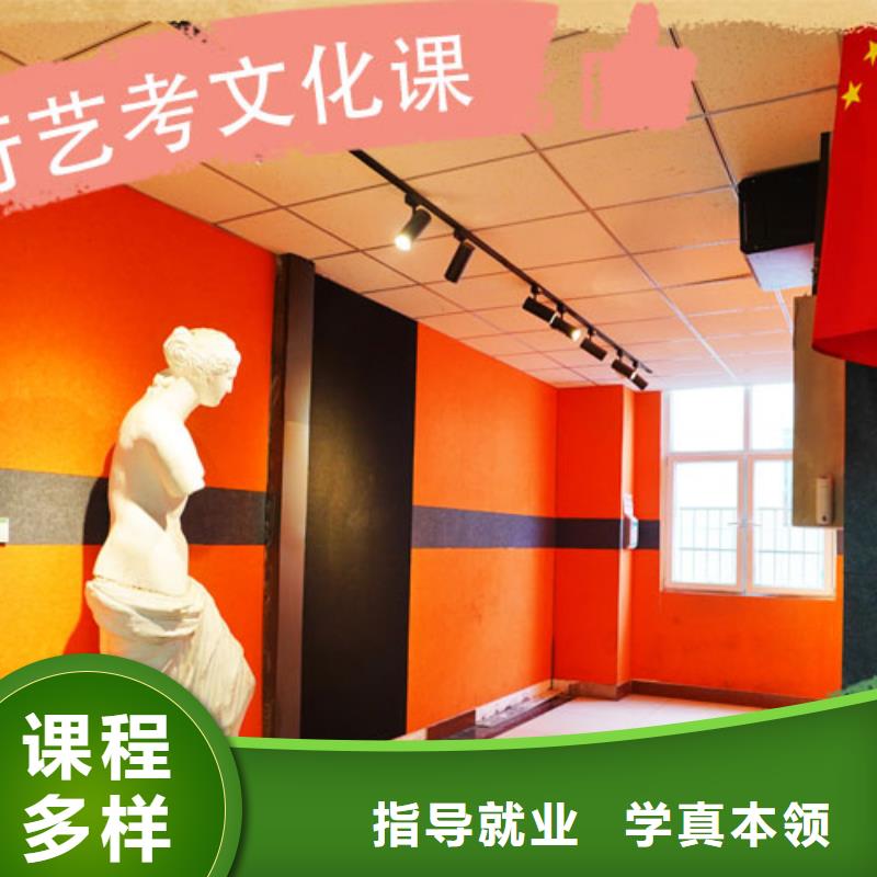 艺考文化课集训班,高考志愿填报指导老师专业