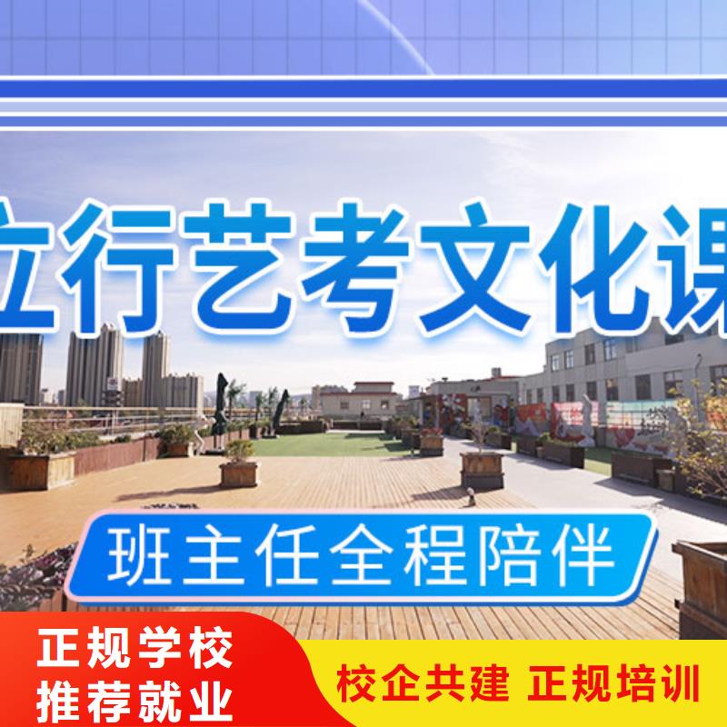 艺考文化课辅导艺考文化课集训班老师专业