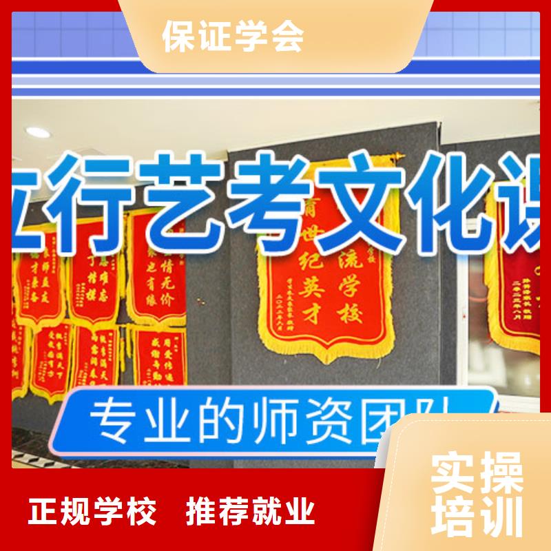 艺考文化课补习艺考老师专业