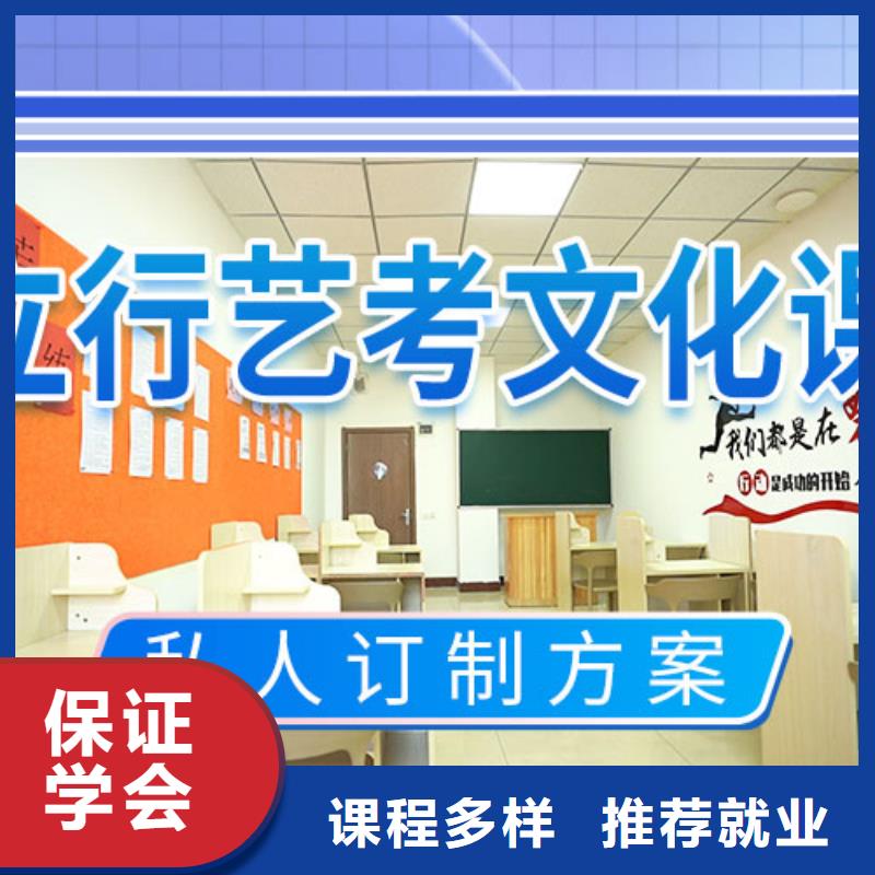 艺考文化课补习艺考老师专业