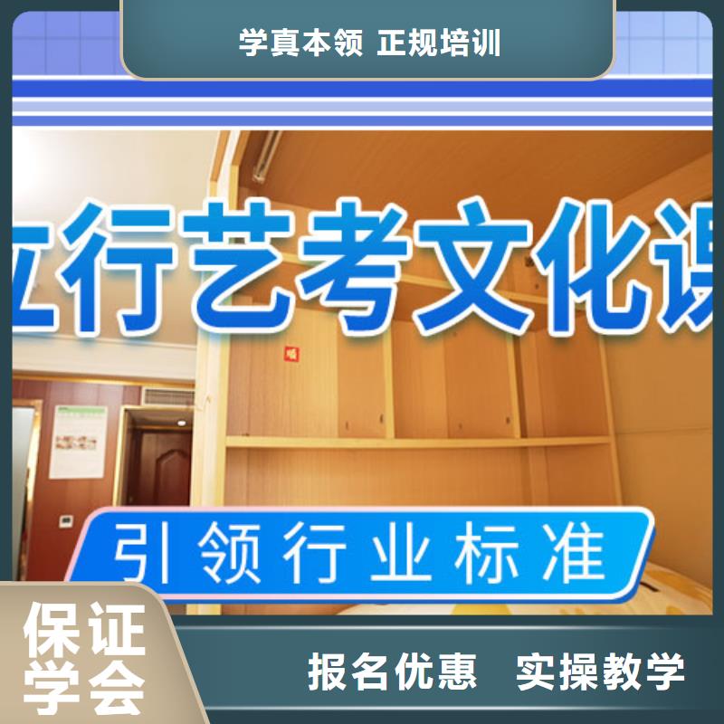 艺考文化课补习-【艺考培训机构】课程多样
