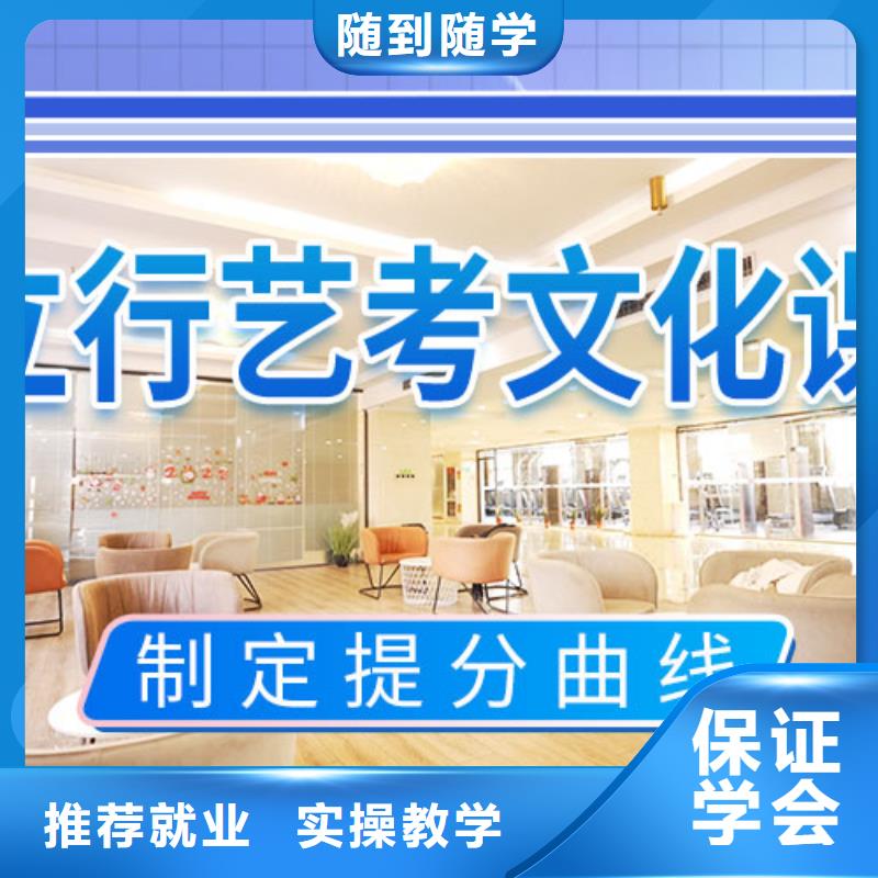 艺术生文化课培训补习有哪些