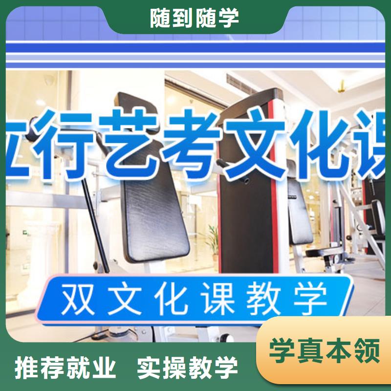 艺考文化课补习艺考老师专业