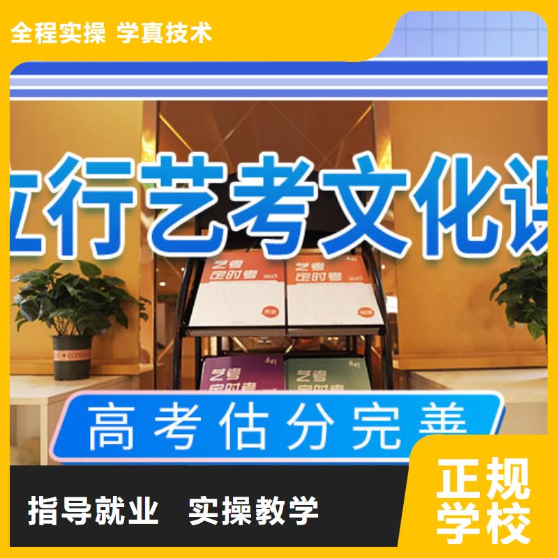 艺考文化课补习-【艺考培训机构】课程多样