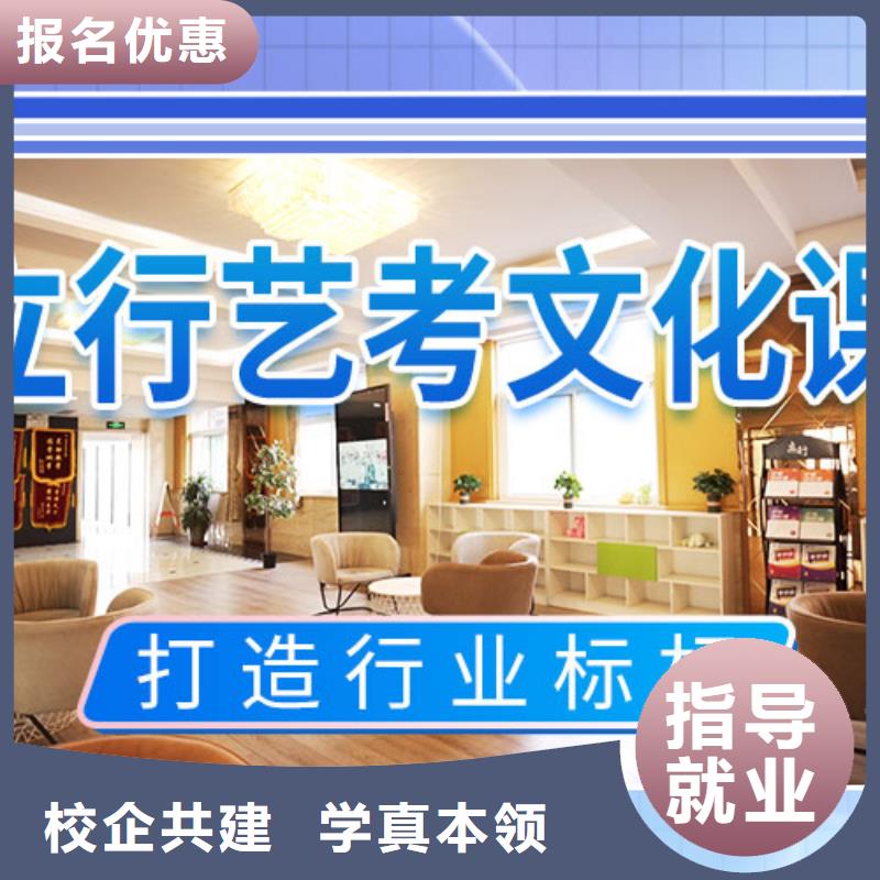艺考文化课补习-【艺考培训机构】课程多样