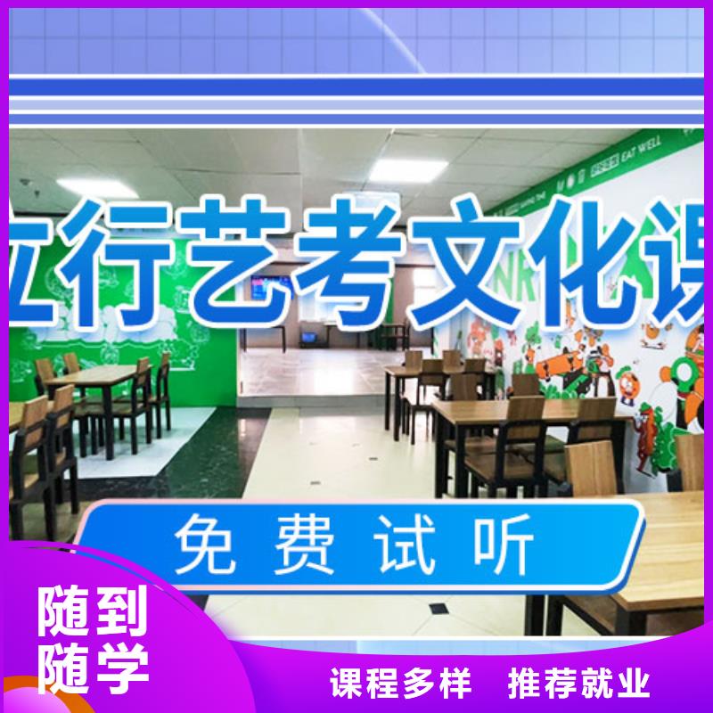 艺考文化课补习艺考老师专业