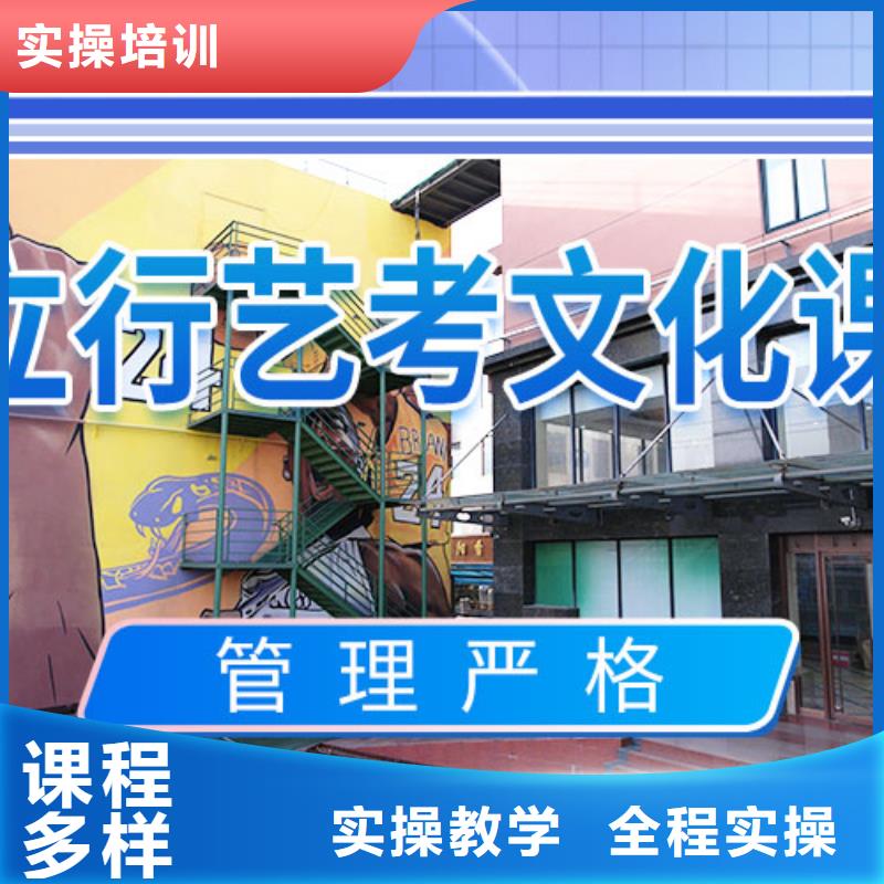 艺考文化课补习艺考老师专业