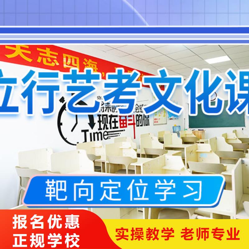 艺考文化课补习艺考老师专业