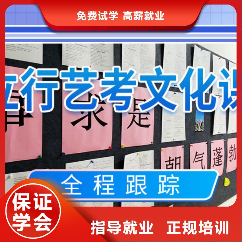 艺术生文化课培训补习有哪些