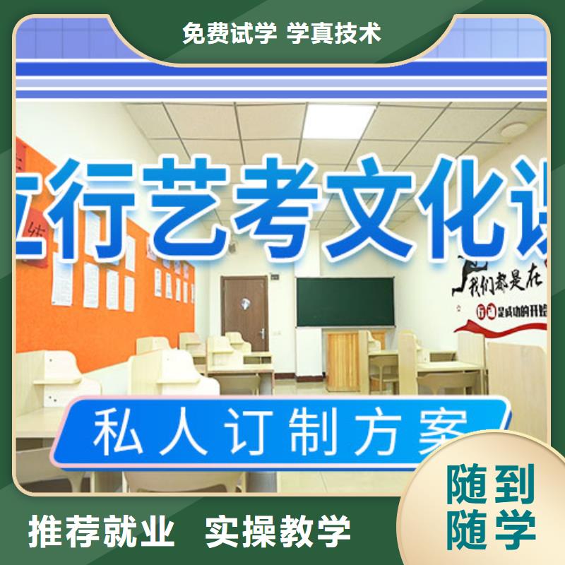 艺考文化课集训,高考复读周六班课程多样