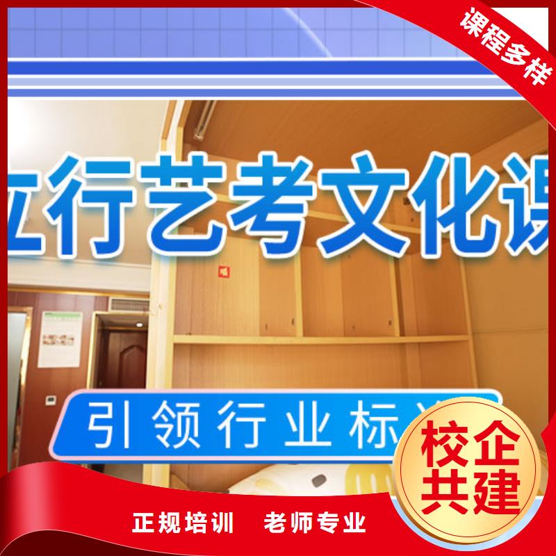 艺考文化课集训,高考复读周六班课程多样