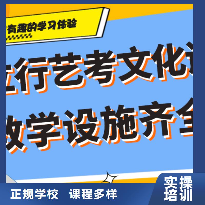 艺考生文化课培训补习有哪些