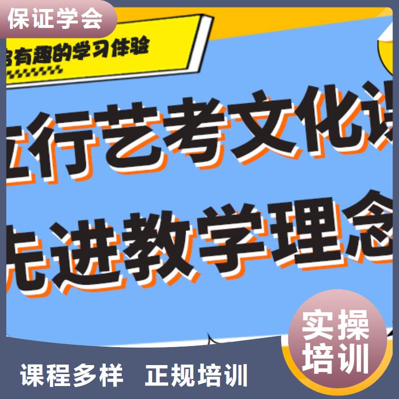 艺考生文化课集训冲刺价格艺考生文化课专用教材