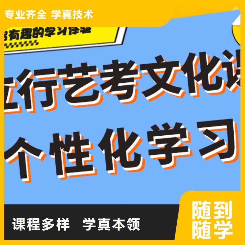 艺术生文化课培训机构一年多少钱定制专属课程