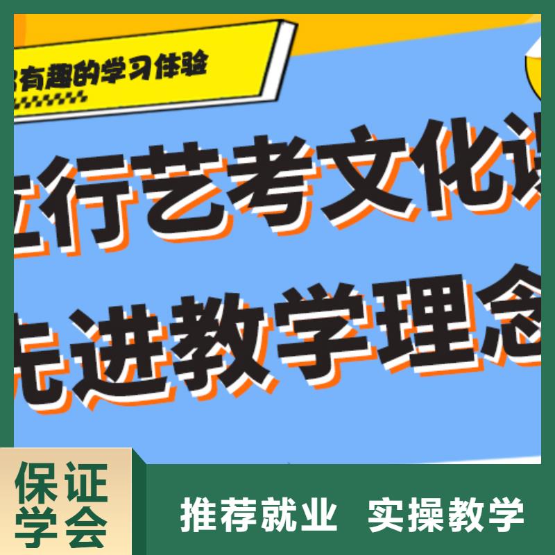 价格艺考生文化课培训补习针对性教学