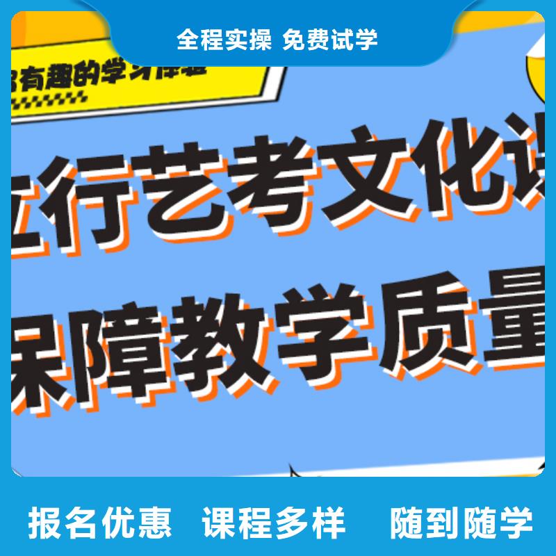 费用艺术生文化课集训冲刺个性化辅导教学