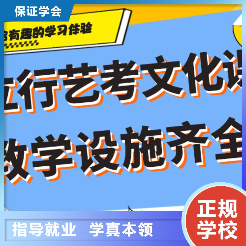 艺考生文化课补习机构哪里好定制专属课程