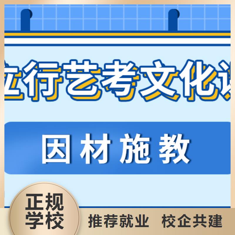 艺考生文化课培训补习排名艺考生文化课专用教材