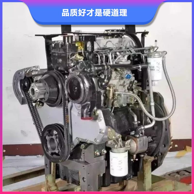 直销贝隆机械设备有限公司定制292F双缸风冷柴油机的厂家