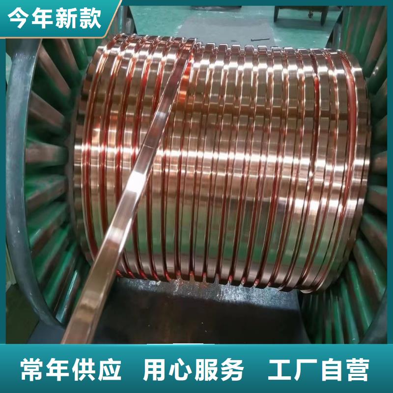 紫铜排买的放心