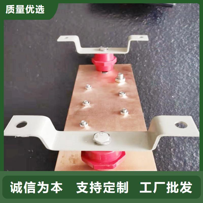 紫铜排N年专注