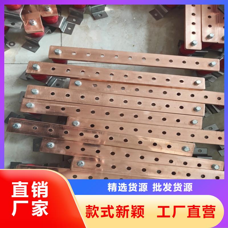 紫铜排24小时下单发货