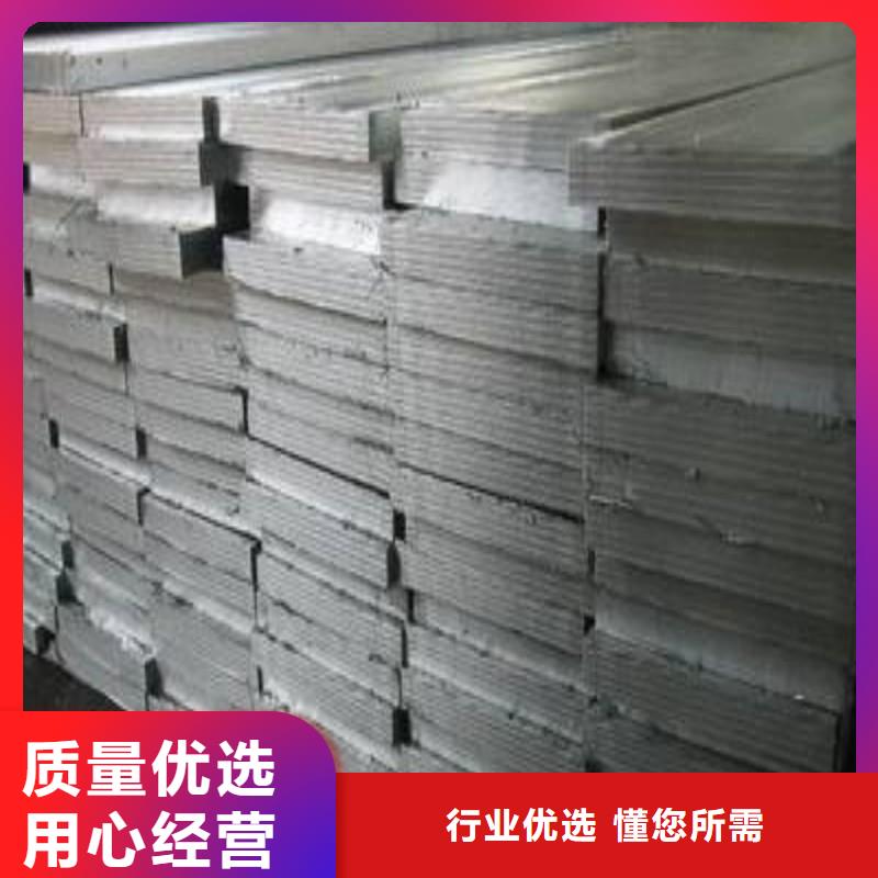 厂家热线加速器防护铅门