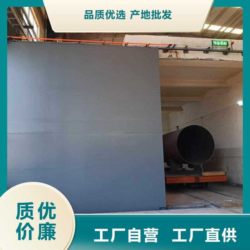 探伤室防护门高品质现货销售