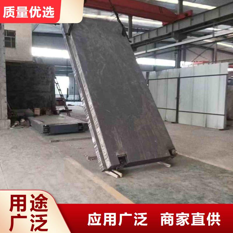 探伤室防护门产品实拍