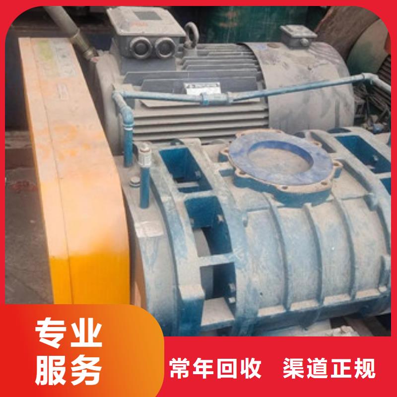 白洋湾街道废铁回收欢迎咨询