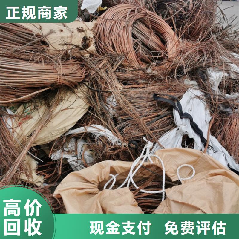 回收废旧电线诚信商家
