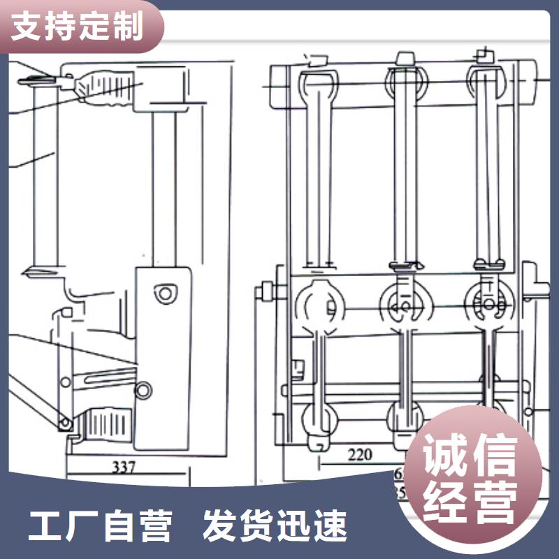 FZN25-12D/630-20高压负荷开关樊高